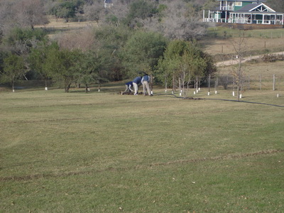 El Aduar - Lima