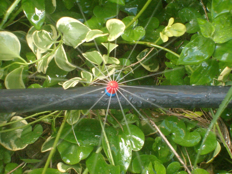 Don Torcuato - Riego por Aspersión