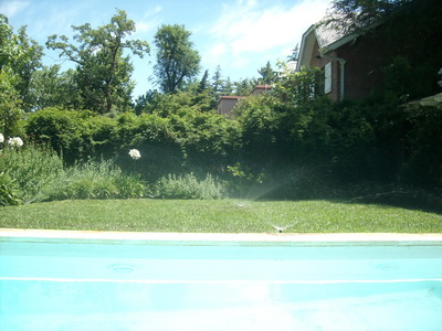 nombre de la foto4